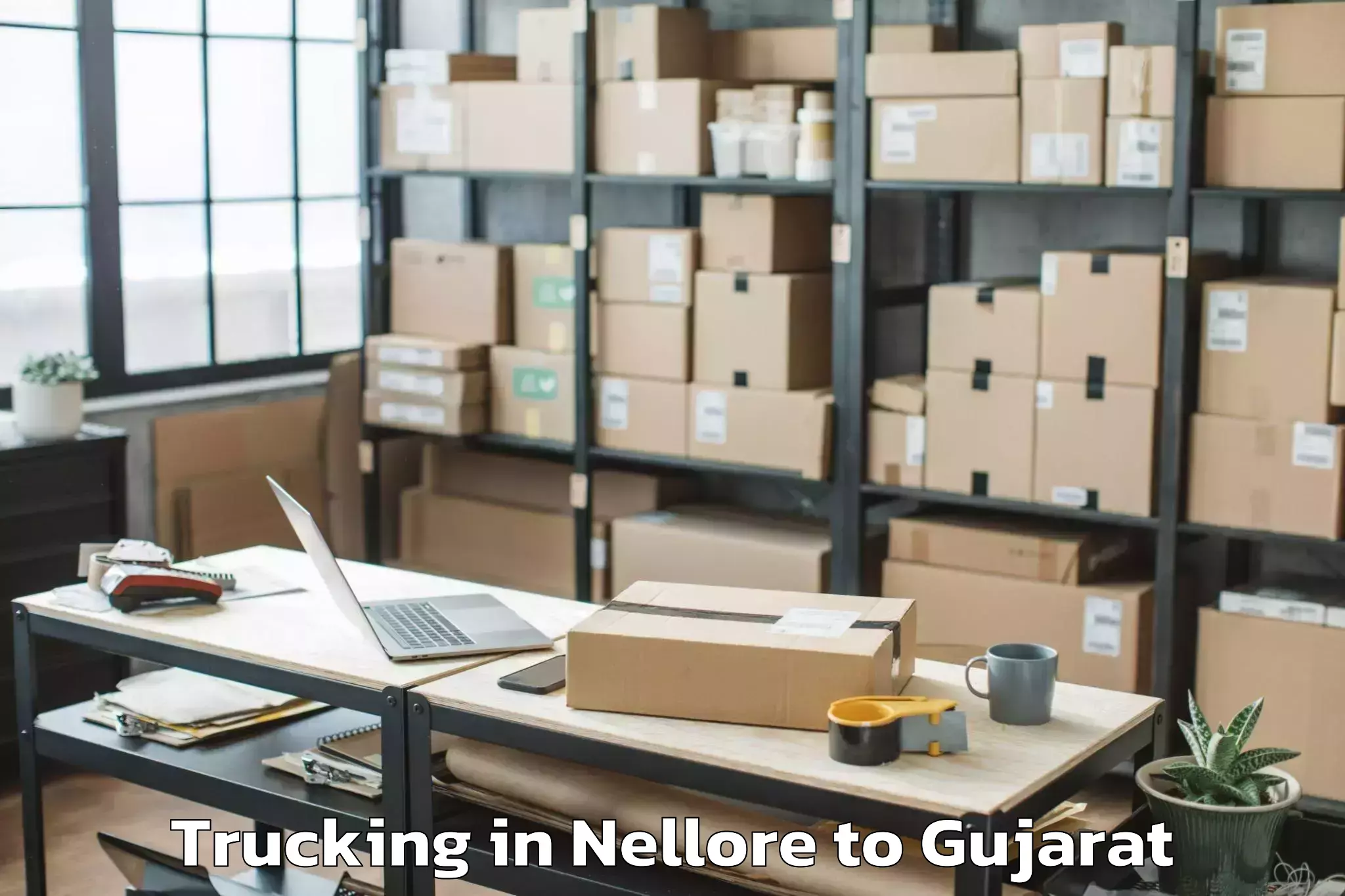 Nellore to Gls University Ahmedabad Trucking Booking